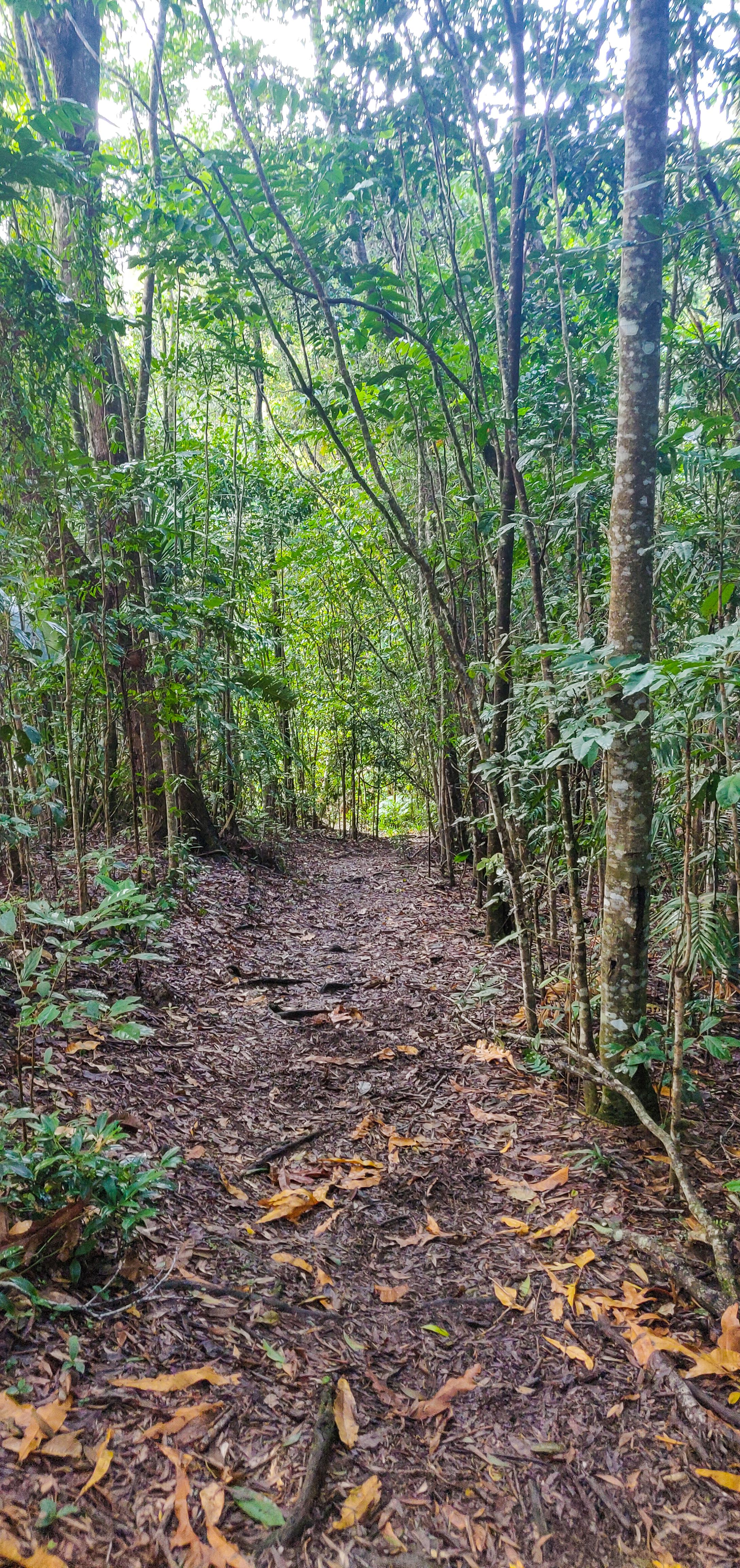 Kuranda
